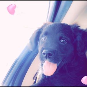 Meet your Posher, Hailey